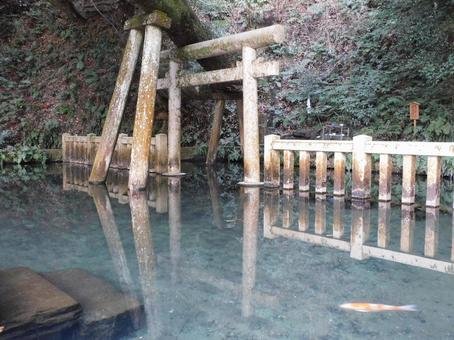 ⛩️ 가시마 신궁 이미지 16